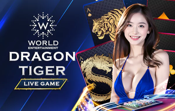 WE_Dragon Tiger_1723211442